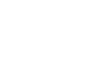 Dts Zulte